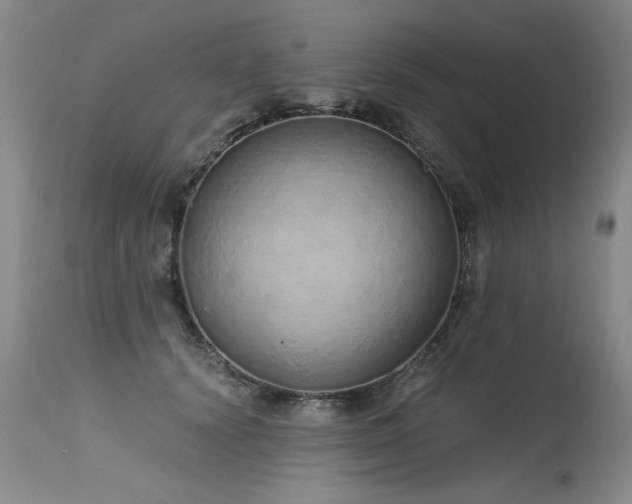 X0000115630656200911101439