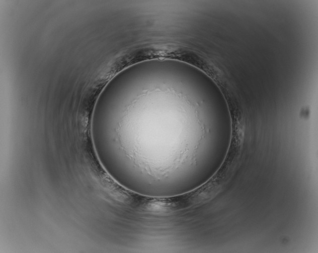 X0000115630657200911101439