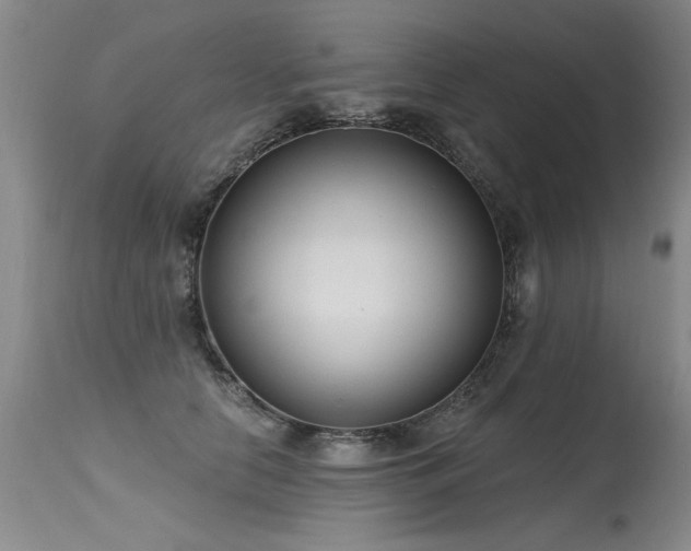 X0000115630658200911101439