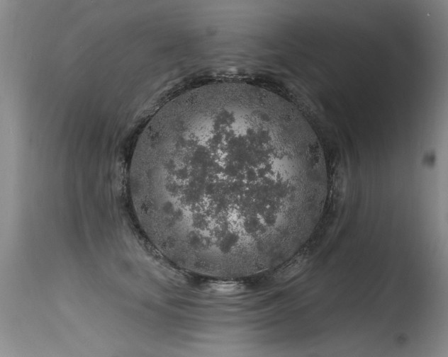 X0000115630659200911101439