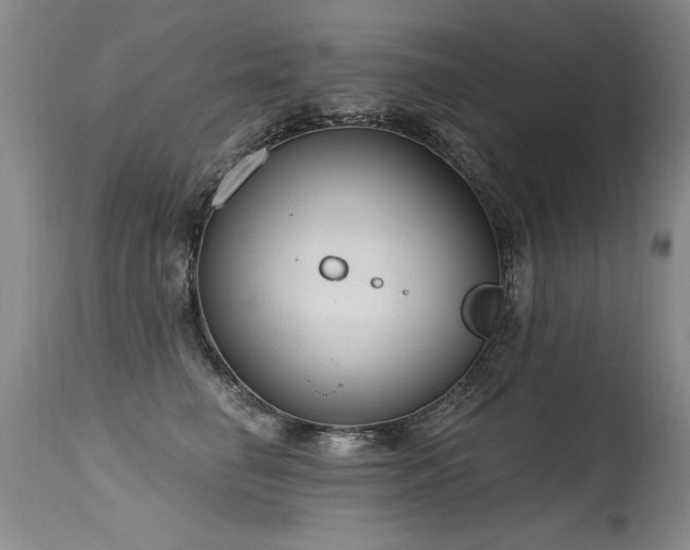X0000115630662200911101439