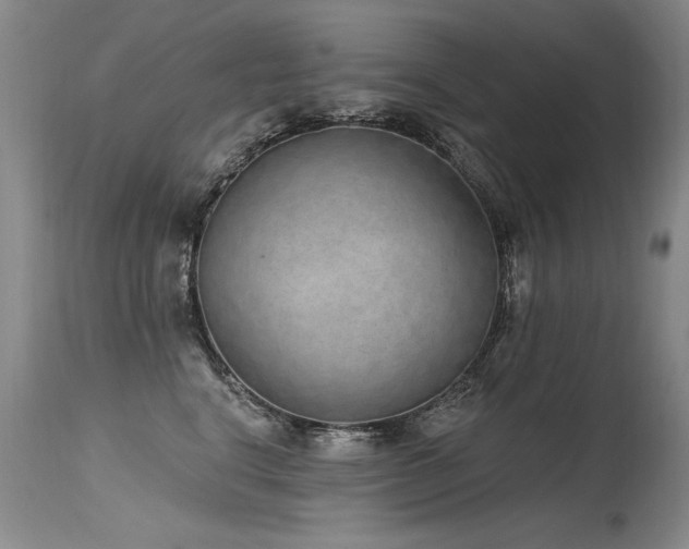 X0000115630664200911101439