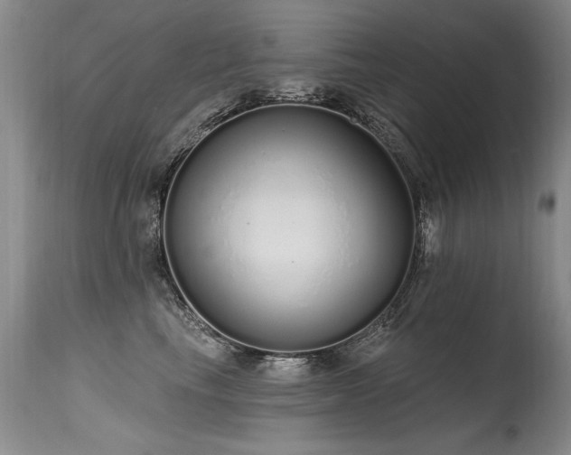 X0000115630665200911101439