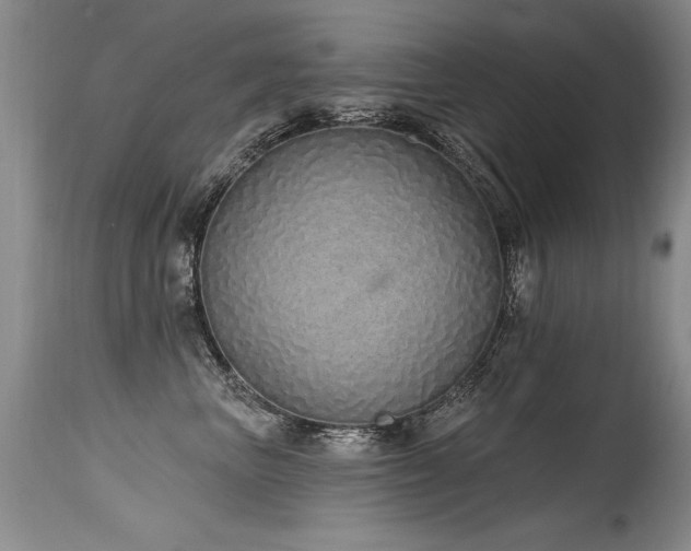 X0000115630667200911101439
