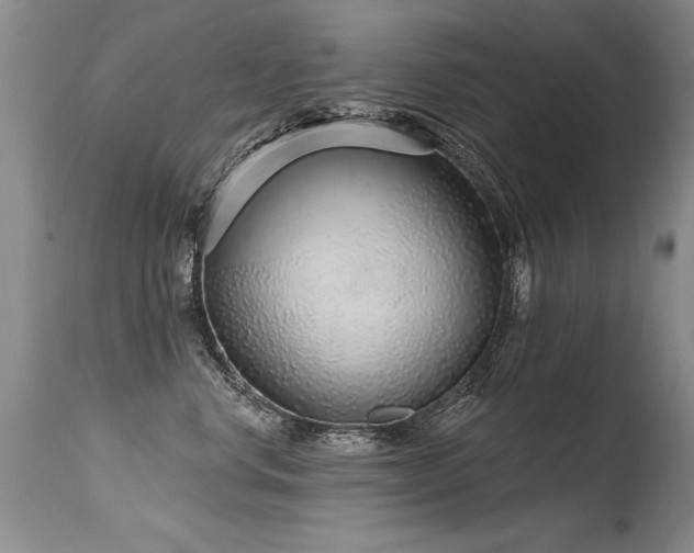 X0000115630668200911101439
