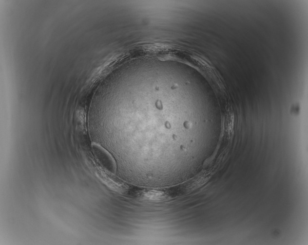 X0000115630669200911101439
