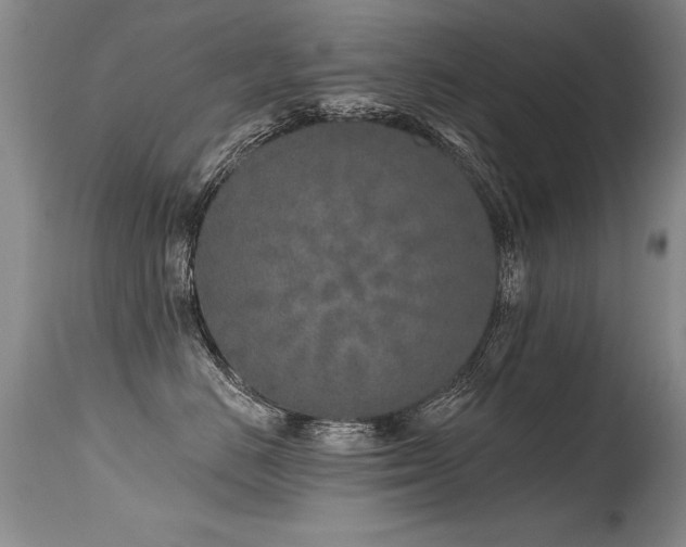 X0000115630670200911101439