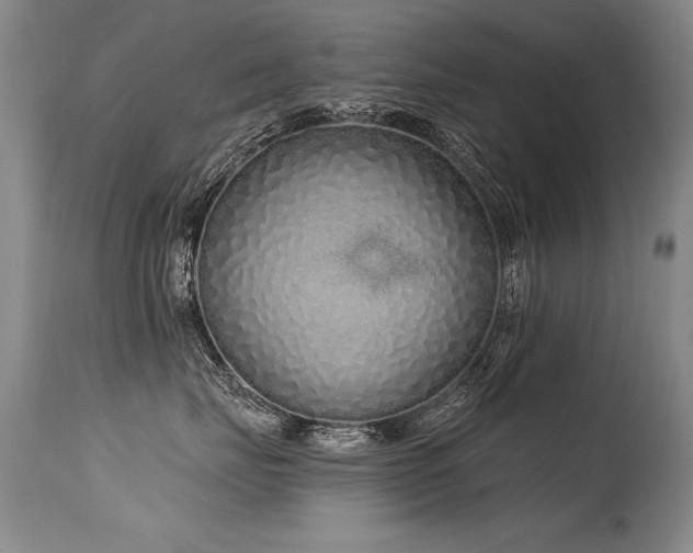 X0000115630671200911101439