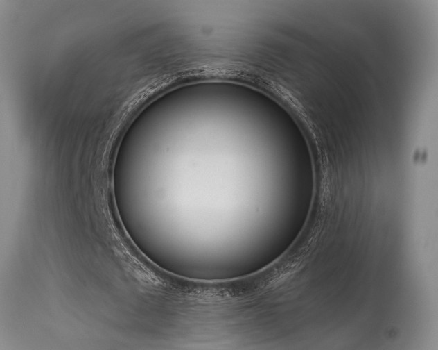 X0000115630673200911101438