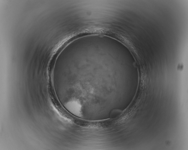 X0000115630674200911101438