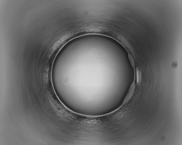 X0000115630675200911101438