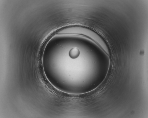 X0000115630676200911101438