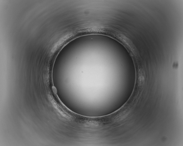 X0000115630677200911101438