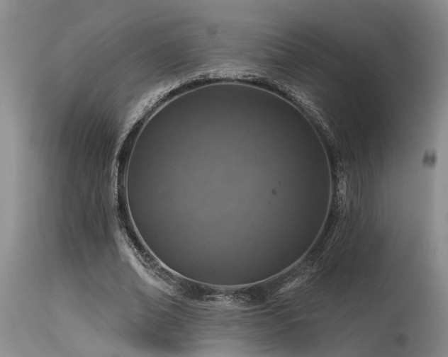 X0000115630678200911101438