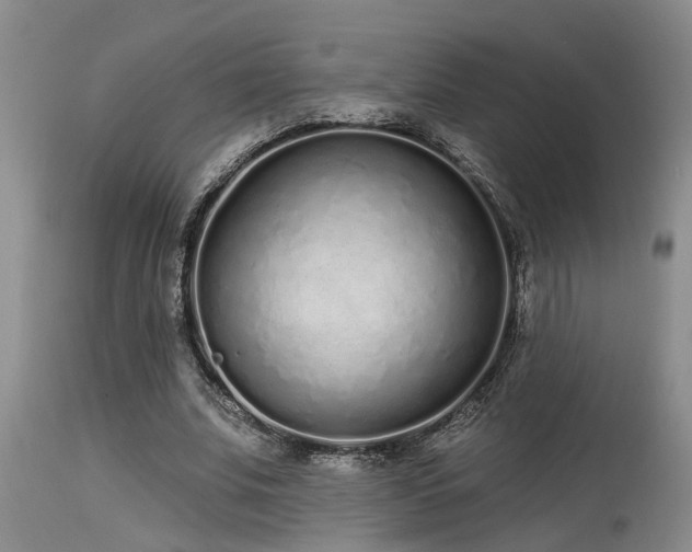 X0000115630679200911101438