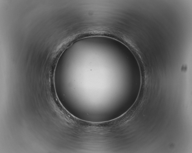 X0000115630681200911101438