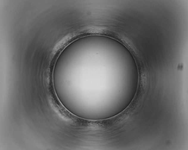 X0000115630682200911101438