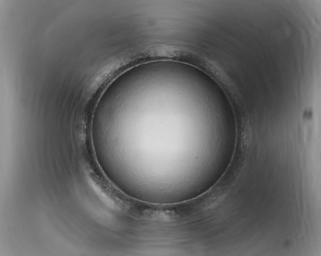 X0000115630683200911101438