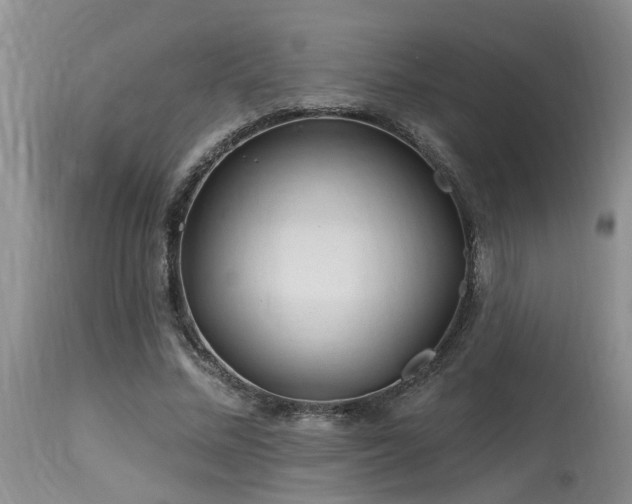 X0000115630684200911101438