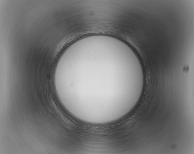 X0000115630685200911101438
