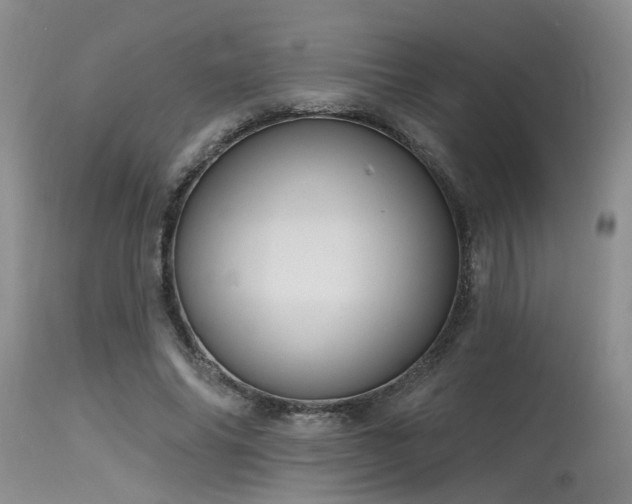 X0000115630686200911101438