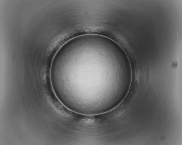 X0000115630687200911101438