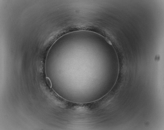 X0000115630689200911101438