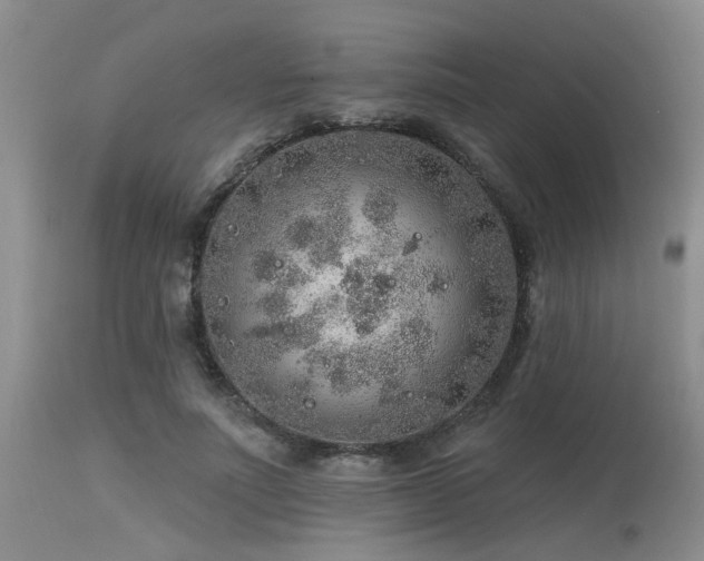 X0000115630691200911101438