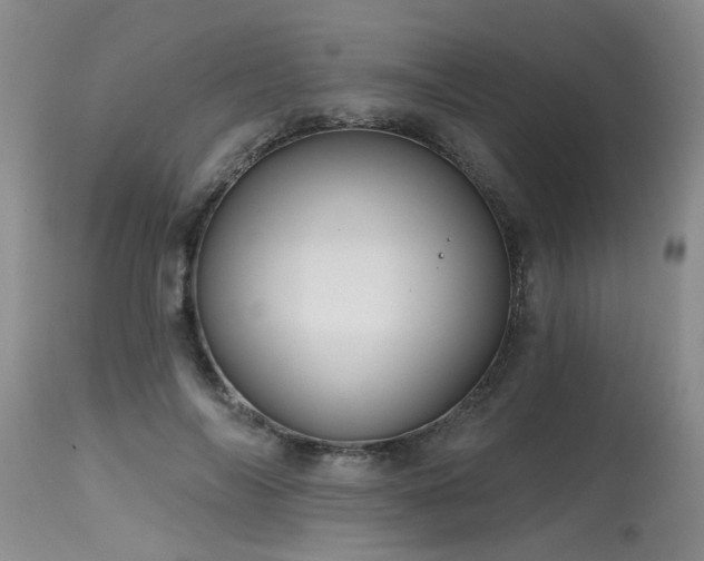 X0000115630694200911101438