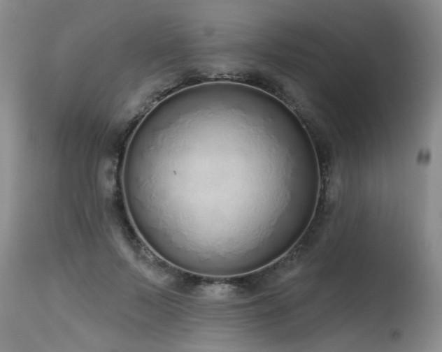 X0000115630695200911101438