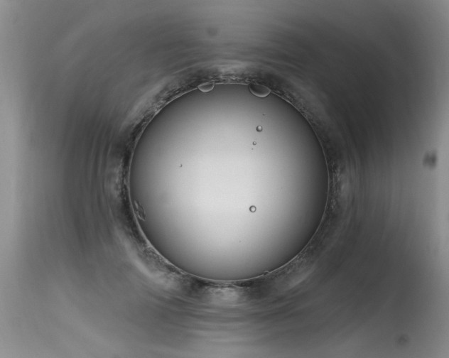 X0000115630698200911101438