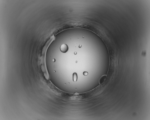 X0000115630700200911101438