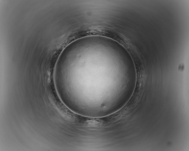 X0000115630703200911101438