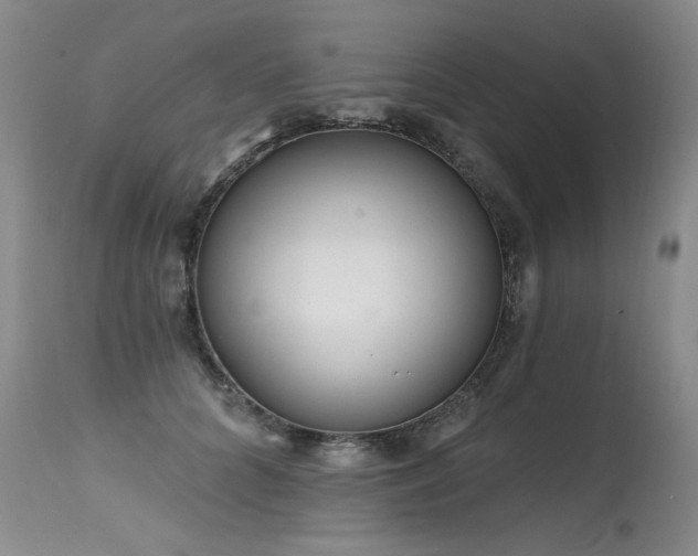 X0000115630704200911101438