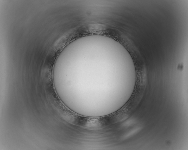 X0000115630705200911101438