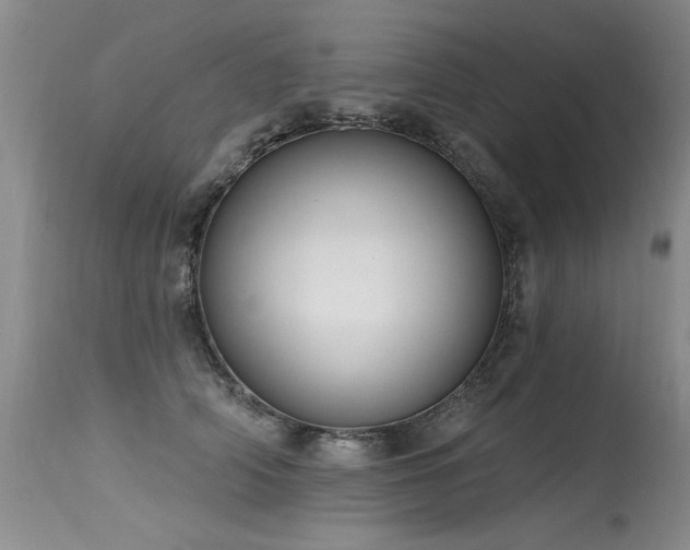 X0000115630706200911101438
