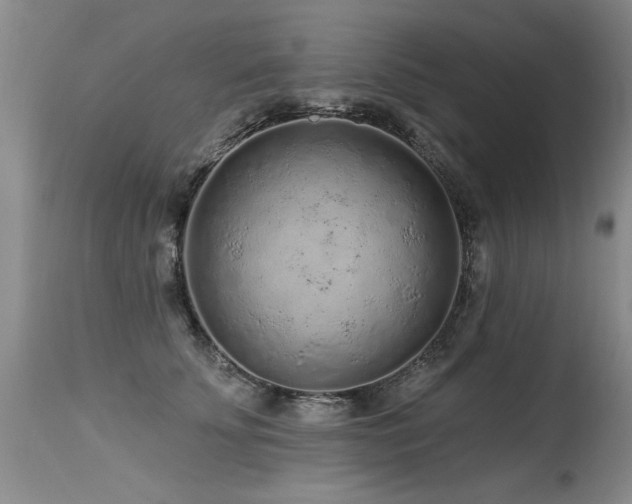 X0000115630707200911101438