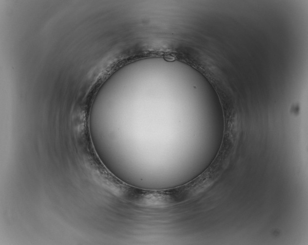 X0000115630708200911101438