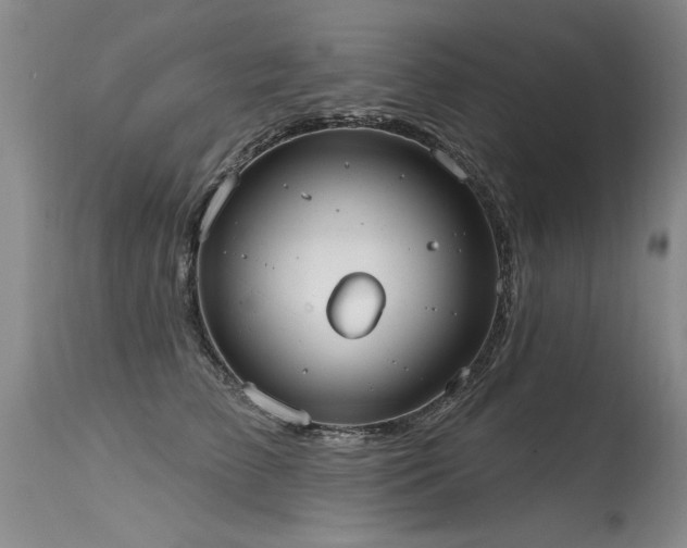 X0000115630709200911101438