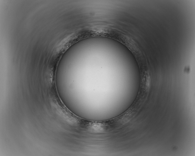 X0000115630710200911101438
