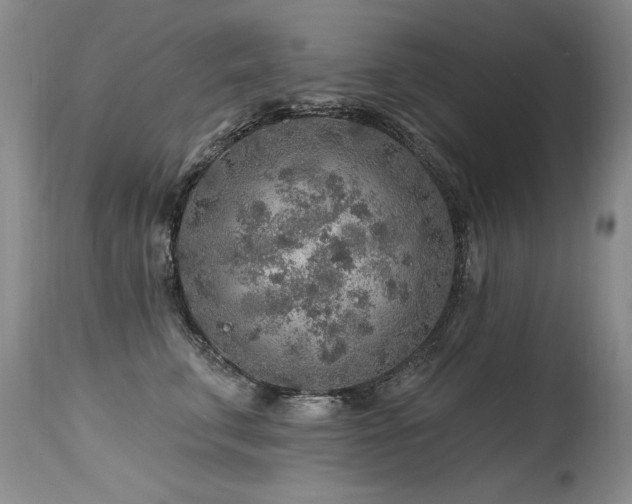 X0000115630711200911101438