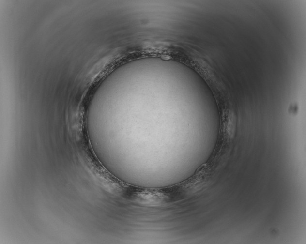 X0000115630712200911101438