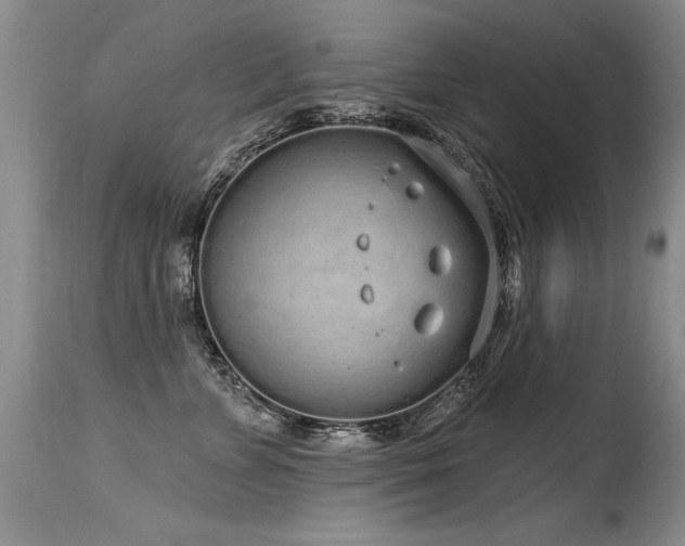 X0000115630715200911101438