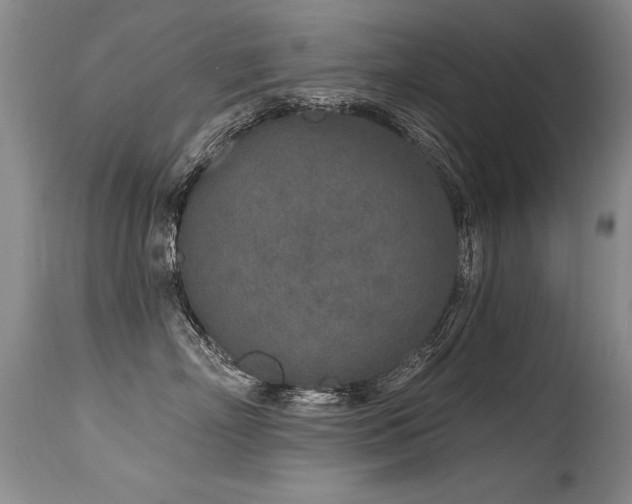 X0000115630718200911101438