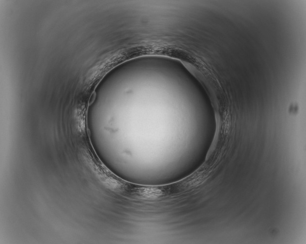 X0000115630719200911101438