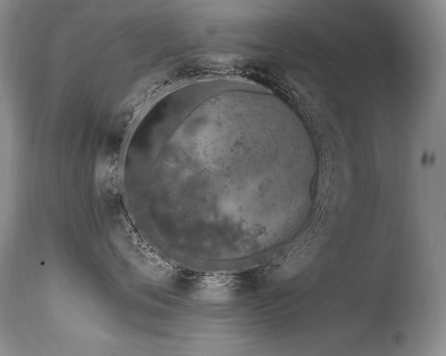 X0000115630720200911101438