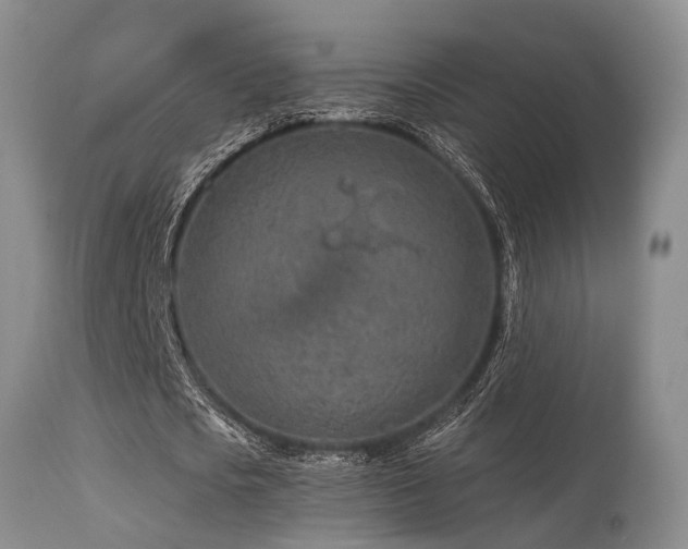 X0000115630721200911101437