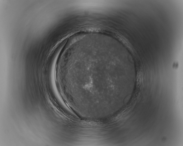 X0000115630722200911101437