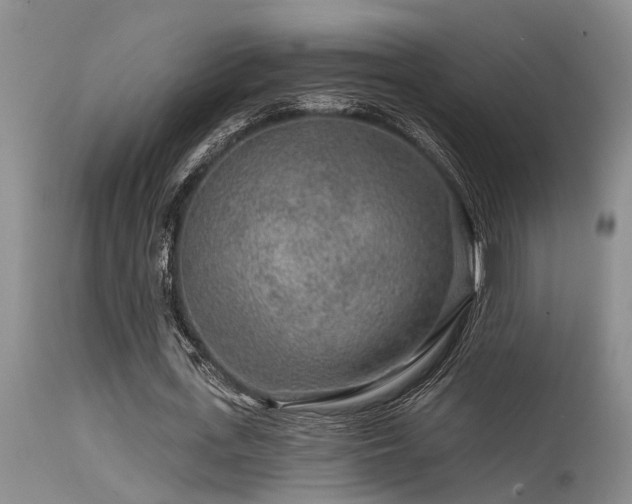 X0000115630723200911101437