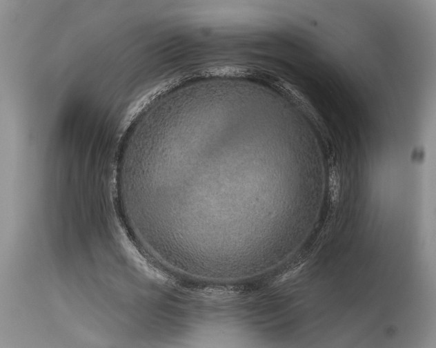 X0000115630725200911101437